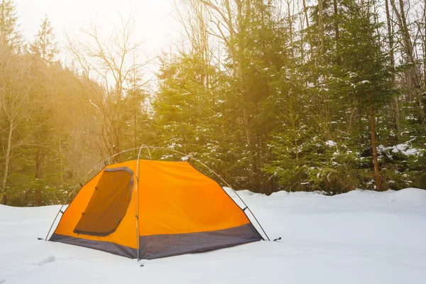 Оранжевая туристическая палатка в зимнем лесу — стоковое фото