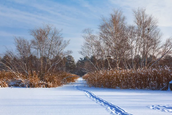 Vinter scen — Stockfoto