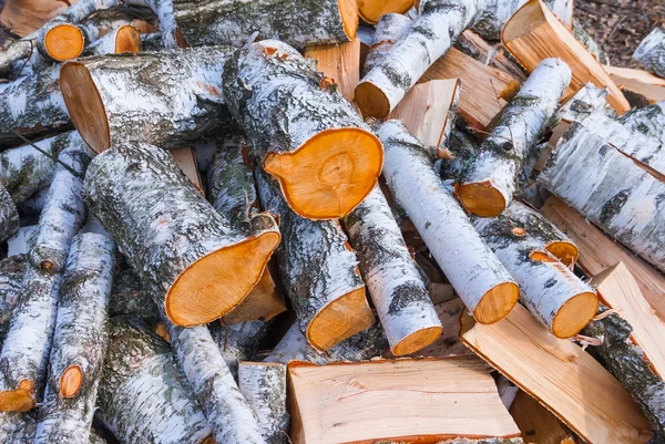 Closeup heap of birch logs — Stock Photo, Image