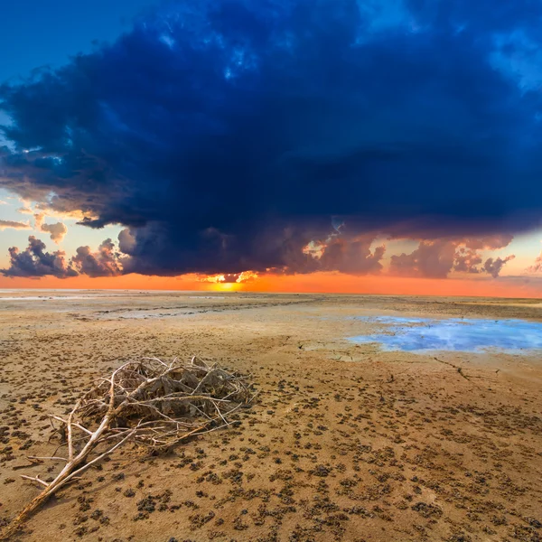 Dramatic sunset ower a sand desert — Stock Photo, Image