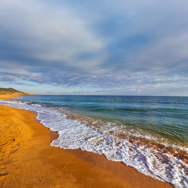 Sandy sea beach scene — Stock Photo, Image