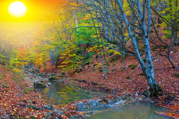 Cañón de montaña de otoño — Foto de Stock
