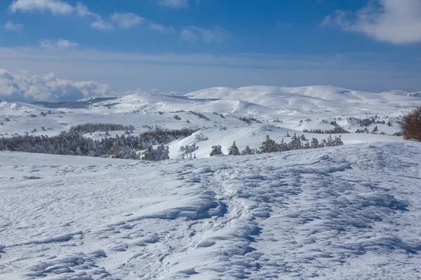 Winter zonder opmaak — Stockfoto