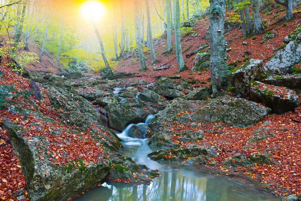 Prachtige berg canyon — Stockfoto