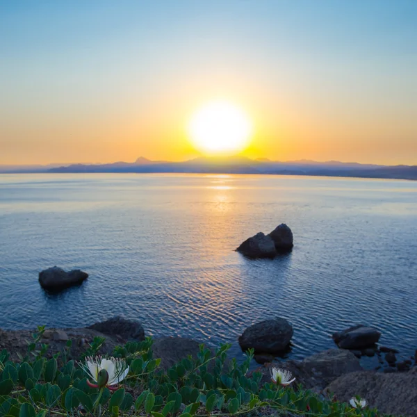 海に沈む夕日 — ストック写真