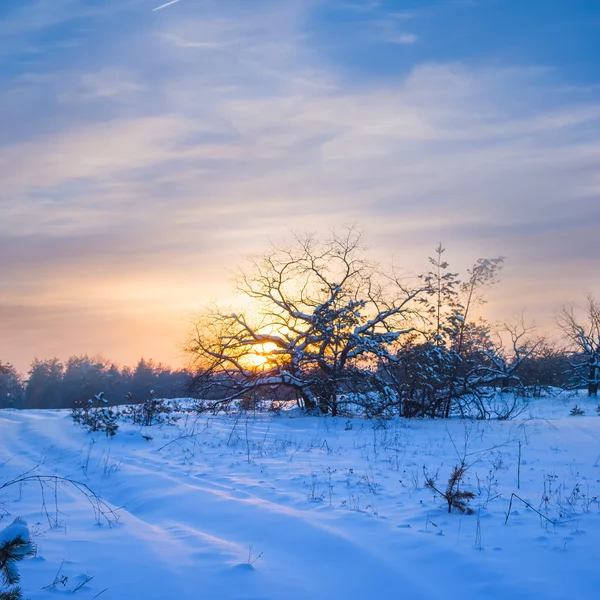 Vintern solnedgång scen — Stockfoto