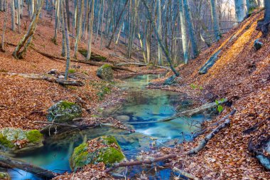 sonbahar dağ Kanyonu