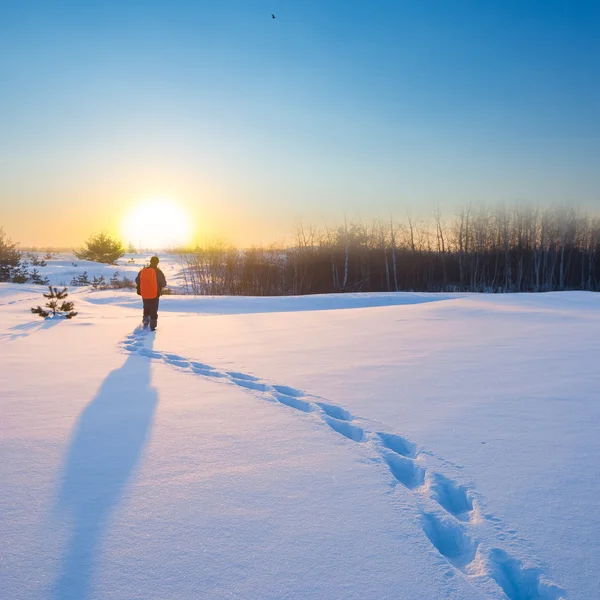 Alone traveler among a winter plains — Stock Photo, Image
