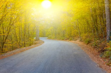 sonbahar asfalt yol