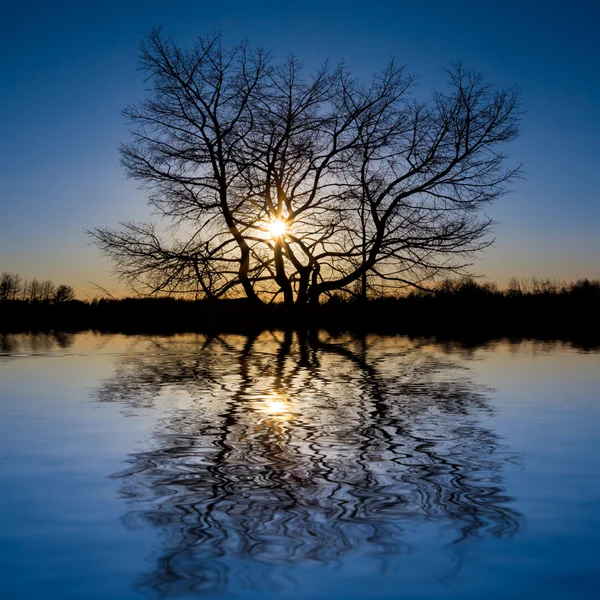 Ruhiger See bei Sonnenuntergang — Stockfoto