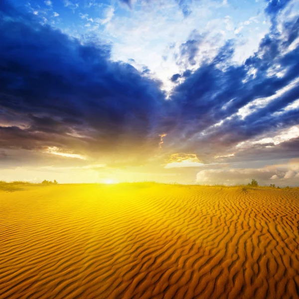 Песчаная пустыня на драматическом закате — стоковое фото