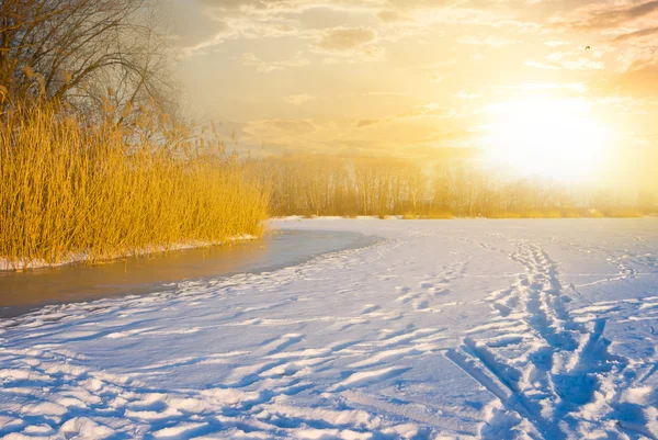 Vintersolnedgång — Stockfoto