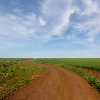 bir alanlar arasında kırsal yol