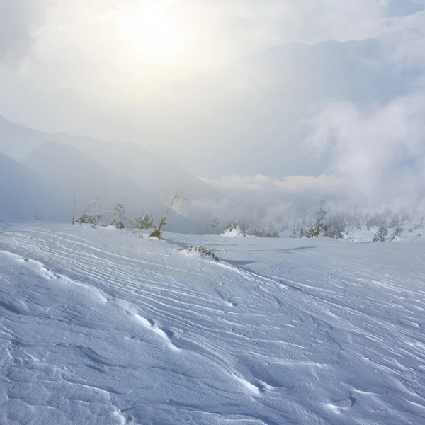 冬の山は霧の中 — ストック写真