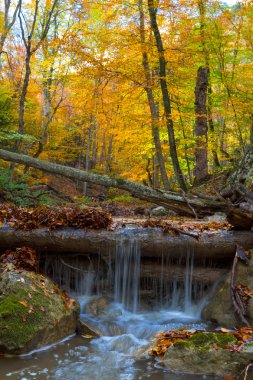 aurumn dağ Nehri绿色的石头的心