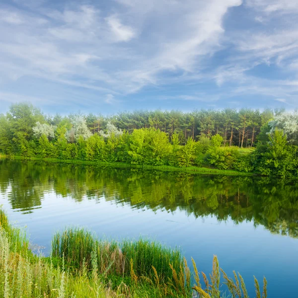 Letní řeka — Stock fotografie