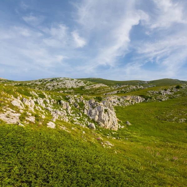 Scena Zielona Góra — Zdjęcie stockowe