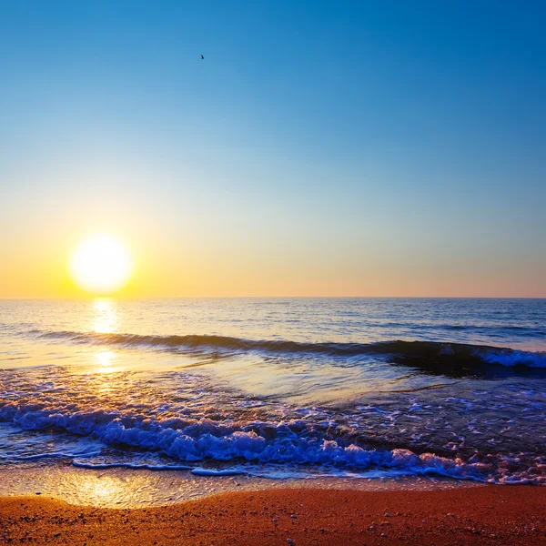 Praia de mar arenoso ao pôr do sol — Fotografia de Stock