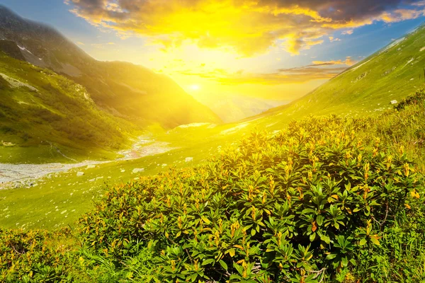 Coucher de soleil sur une vallée de montagne — Photo