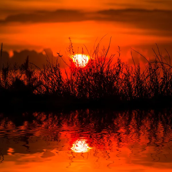 Červené dramatické slunce odráží v vodě — Stock fotografie