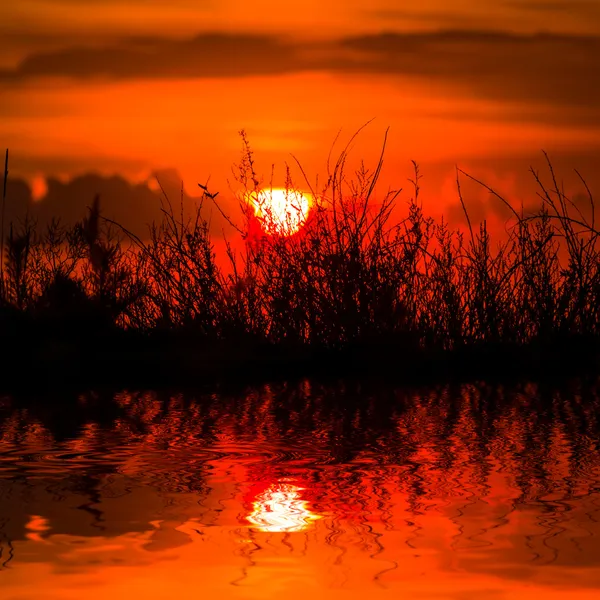 水溜りに映った劇的な夕日 — ストック写真