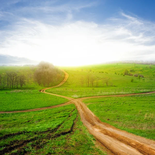 Kreuzung zwischen grünen Feldern — Stockfoto