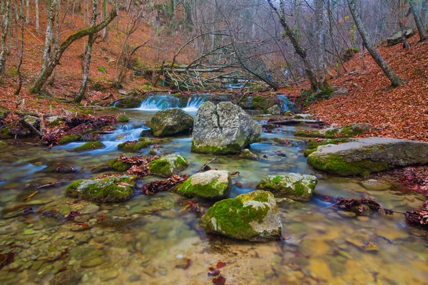 Mountain river — Stock Photo, Image