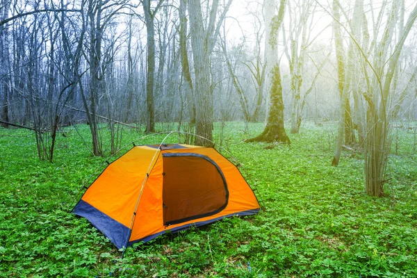 Touristic camp in a green spring forest — Stock Photo, Image