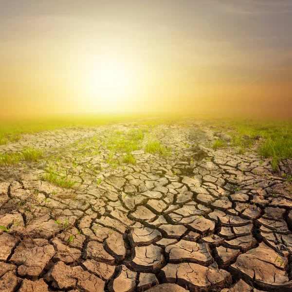 Puesta de sol sobre una tierra seca — Foto de Stock