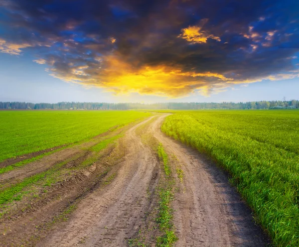 Primavera scena rurale — Foto Stock