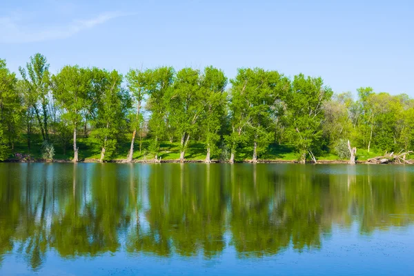 Summer lake scene — Stock Photo, Image