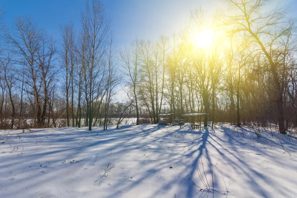 Bosque de invierno por un día soleado — Foto de Stock