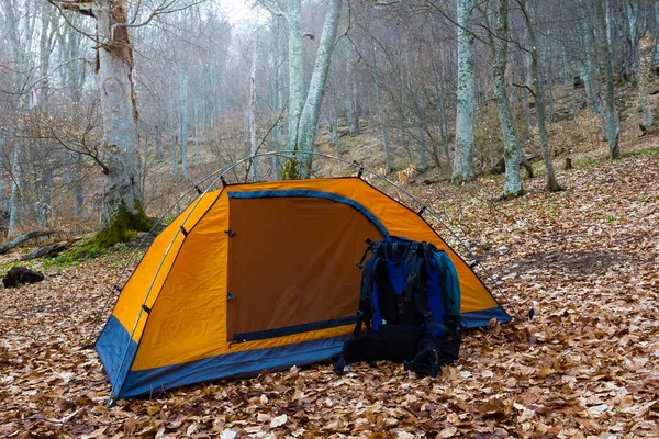 Campamento turístico en un bosque — Foto de Stock