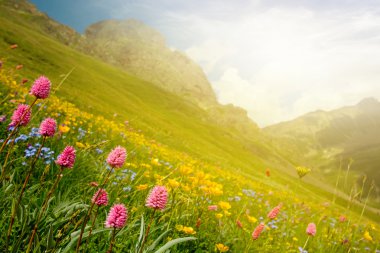 Gün batımında dağ vadisi