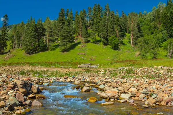 Mountain river scene — Stock Photo, Image