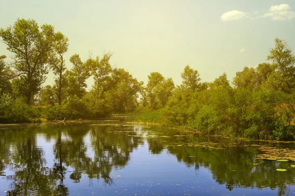 Petit lac par une chaude journée d'été — Photo