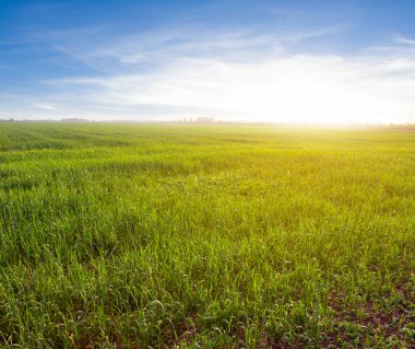 akşam kırsal sahne