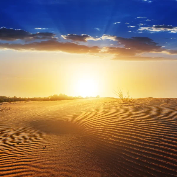 Sunset over a desert — Stock Photo, Image