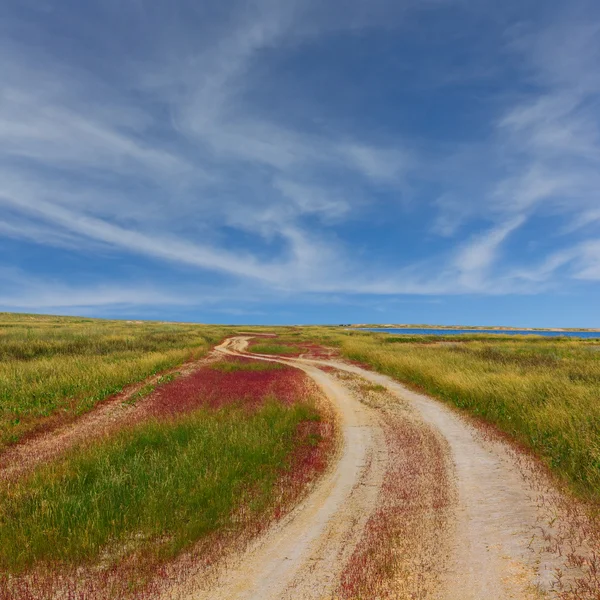 Route dans une prairie — Photo