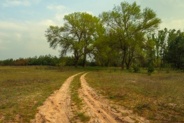 toprak yol arasında bir bozkır