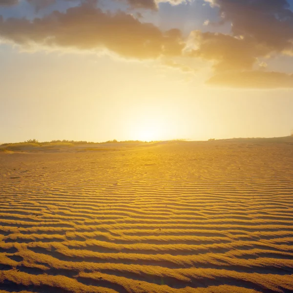 Sunset over a desert — Stock Photo, Image