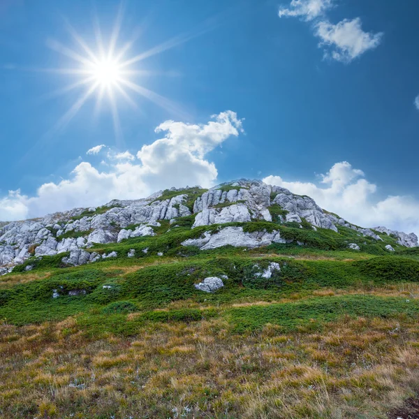 Gröna bergen solig dag — Stockfoto