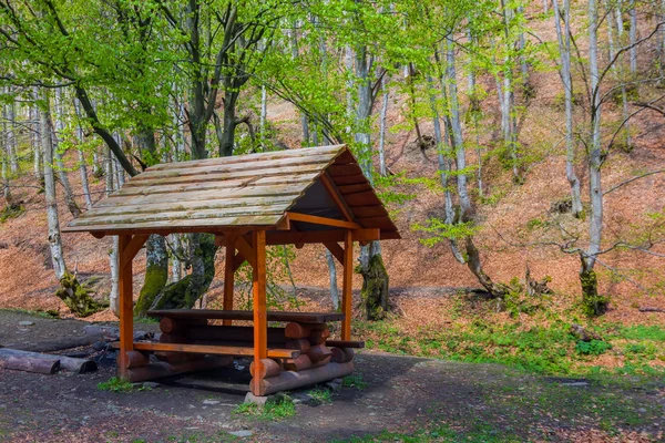 Pequeña casa de madera en un bosque — Foto de Stock