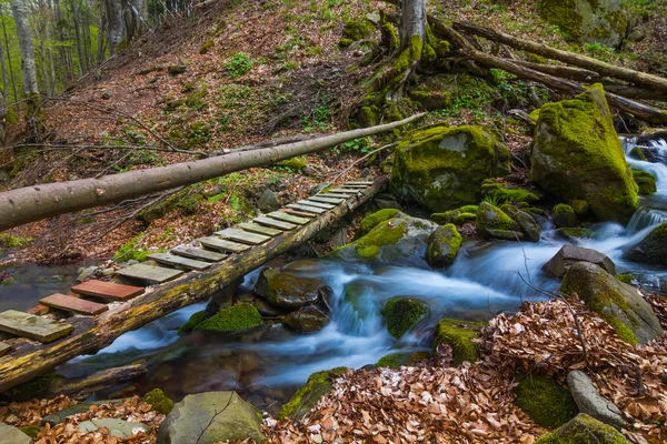 Scène de rivière de montagne — Photo