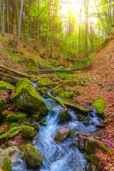 Mountain canyon by a sunny day — Stock Photo, Image