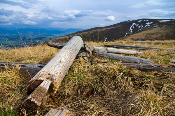 Grumes de bois parmi les collines — Photo