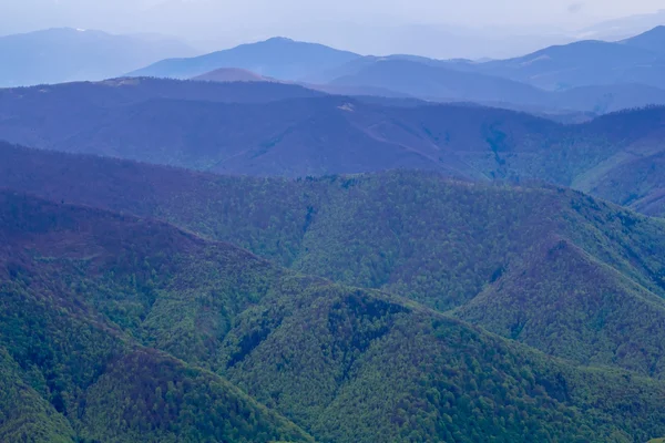 Crête de montagne verte — Photo