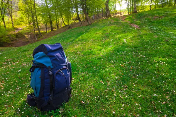 Touristic backpack on a grass — Stock Photo, Image