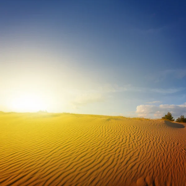 Sonnenuntergang über einer Sandwüste — Stockfoto