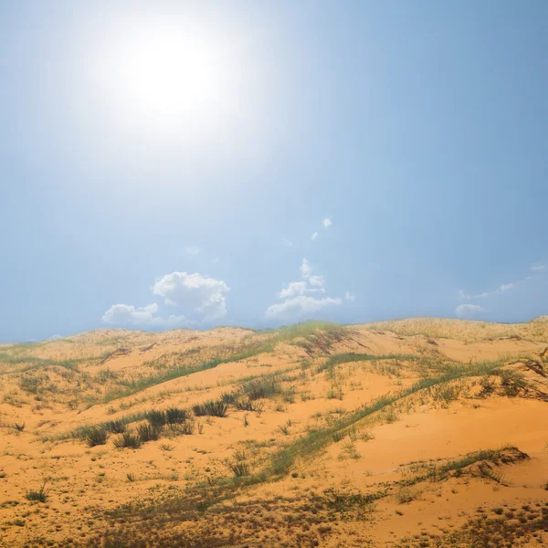 Песчаная пустыня под жарким солнцем — стоковое фото
